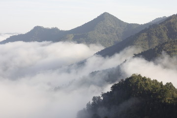 青山云雾