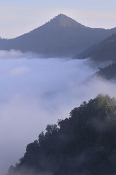 青山云雾