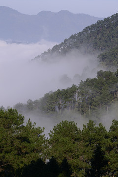 青山云雾