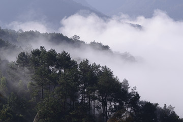青山云雾