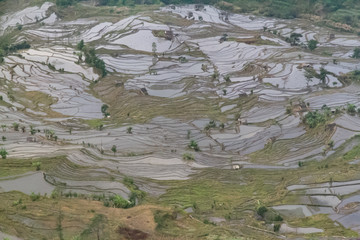 梯田