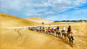 沙漠骆驼队 沙山