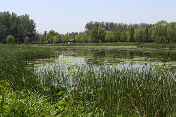 长沟湿地公园
