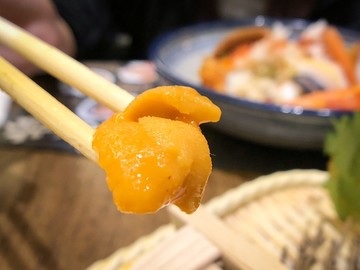 海胆刺身