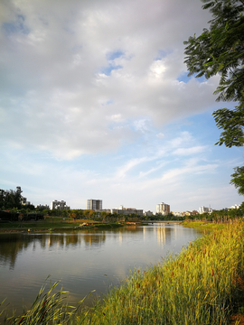 凤翔湿地公园