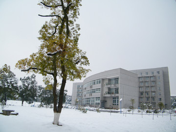 雪景