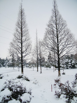 雪景