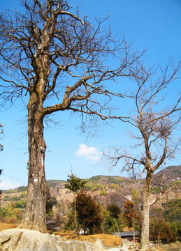 隆回虎形山瑶族村寨