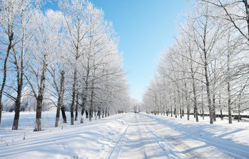 冬季雪景