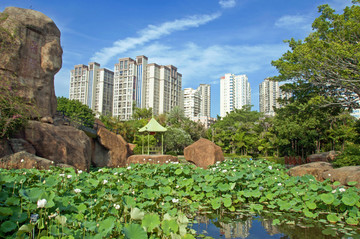 刺桐公园风景