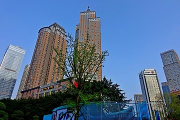 城市高楼大厦