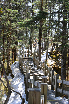 西岭雪山阴阳界栈道残雪消融