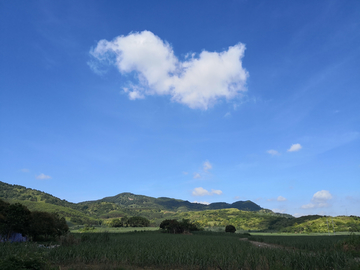 郊外