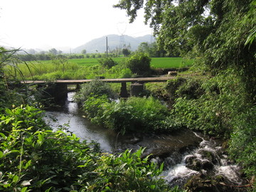 小溪小桥