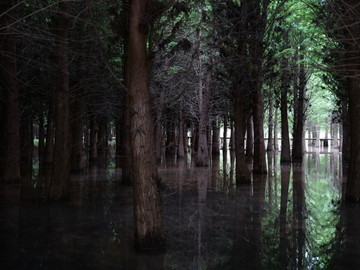 昆明捞鱼河湿地公园