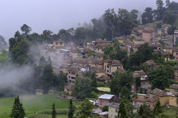 多依树景区