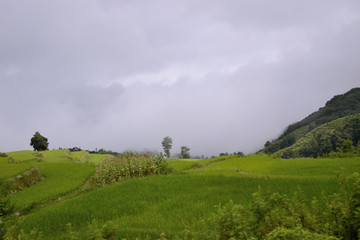 云南梯田