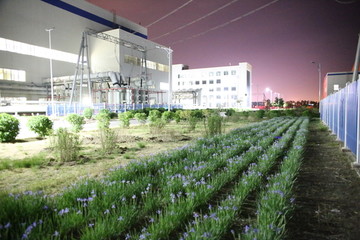 电厂绿化夜景