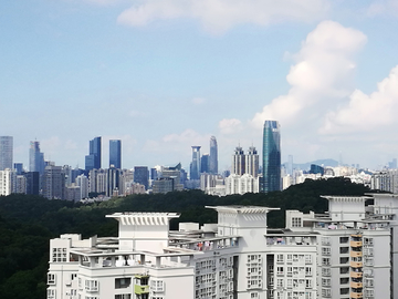 深圳莲花北片区俯瞰