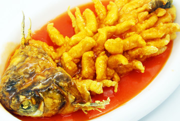 松鼠桂鱼