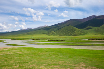 新疆高山草原那拉提草原