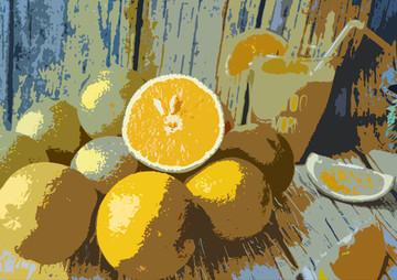 橙子水果艺术画