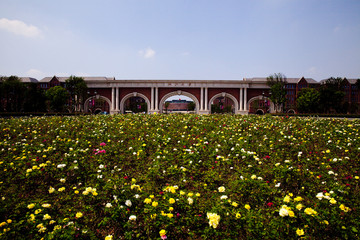 浙江大学国际学院