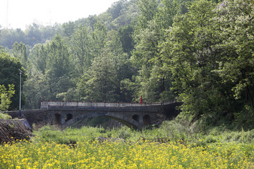 山村石桥