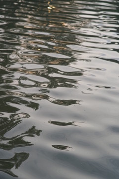 水面