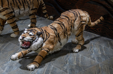 虎模型