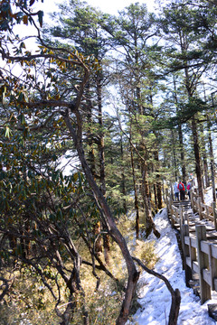 西岭雪山阴阳界栈道残雪消融