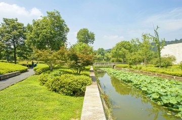 杭州美丽洲公园风景
