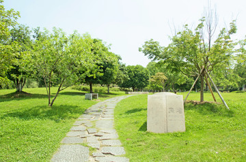 杭州公园风景