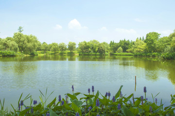 湖泊静景