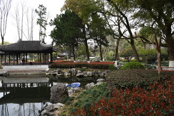 宁波月湖公园江南景观