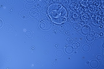 水纹