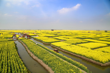 江苏泰州兴化千垛风景区