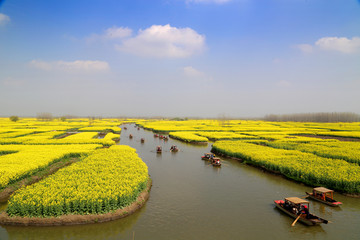 江苏泰州兴化千垛风景区