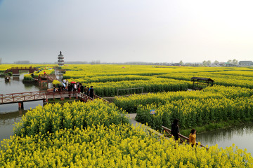 江苏泰州兴化千垛风景区