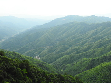 黄洋界风景