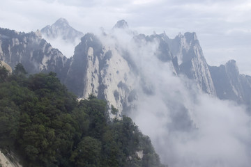 水墨华山