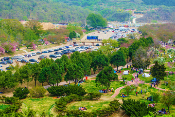 龙王塘樱花园景区平地俯视图