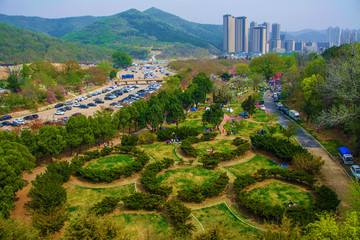 龙王塘樱花园与高层建筑俯视图