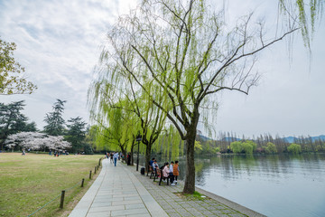 杭州西湖春天风光美景