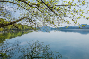 杭州西湖春天风光美景