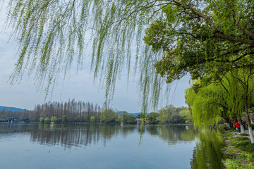 杭州西湖春天风光美景