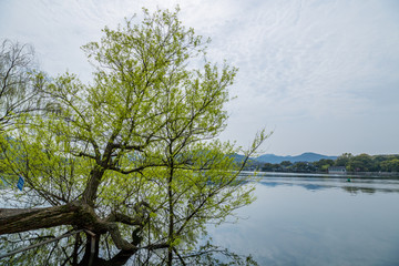 杭州西湖春天风光美景