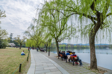 杭州西湖春天风光美景