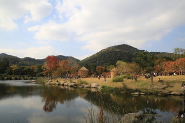 户外风景