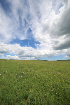 草原上的蓝天浓云